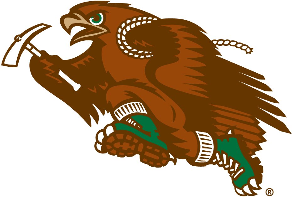 Lehigh Mountain Hawks 1996-Pres Mascot Logo iron on transfers for clothing